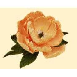 Піон персиковий D=100 з листочками (8уп/ящ) бл