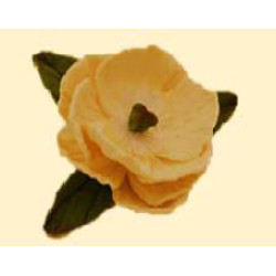 Кондитерська цукрова прикраса 