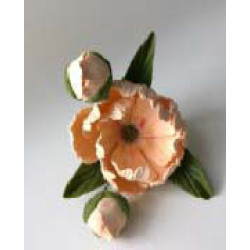 Піон персиковий D = 90 з бутонами / 8шт