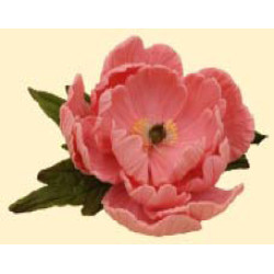 Піон рожевий D=100 з листочками (8уп/ящ) бл