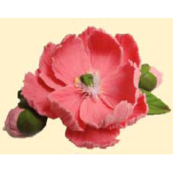 Піон рожевий D = 90 з бутонами / 8шт