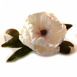 Піон D = 90 мм з бутонами